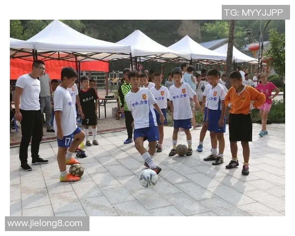 老爷足球的魅力与挑战：从传统到现代的变迁与发展