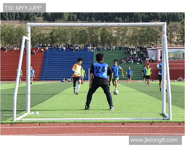 足球x7号的传奇之路：从青涩少年到绿茵场上的明星之旅