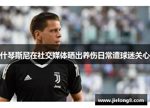 什琴斯尼在社交媒体晒出养伤日常遭球迷关心