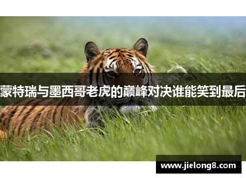 蒙特瑞与墨西哥老虎的巅峰对决谁能笑到最后